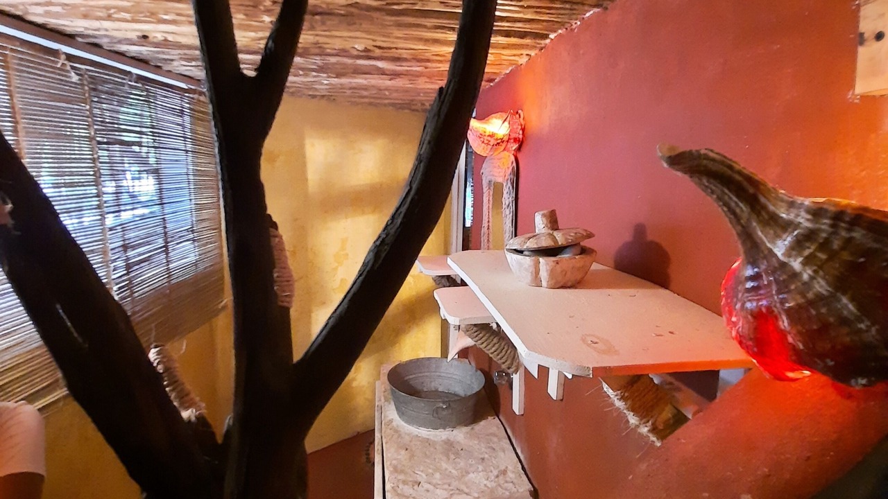 Photo of Bathroom in Rio Lagartos
