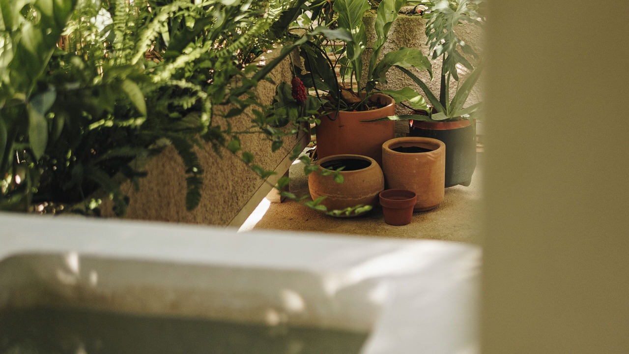 Photo of Patio Balcony in Zama