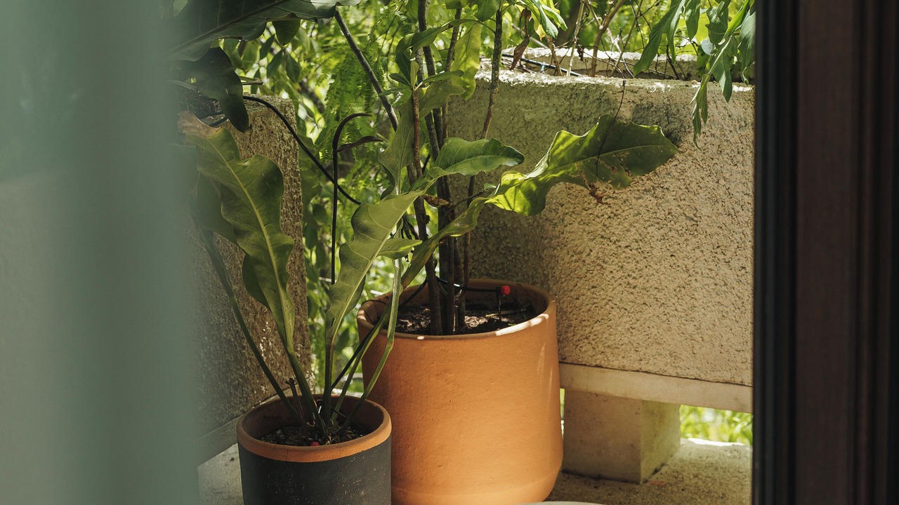 Photo of Outdoor in Zama
