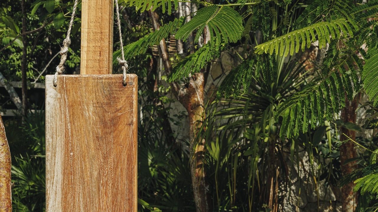 Photo of Outdoor in Zama