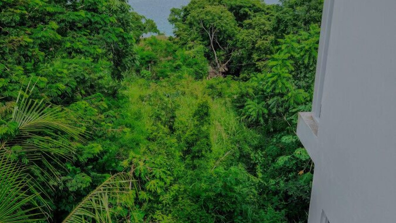 Photo of Outdoor in Xul-Ha