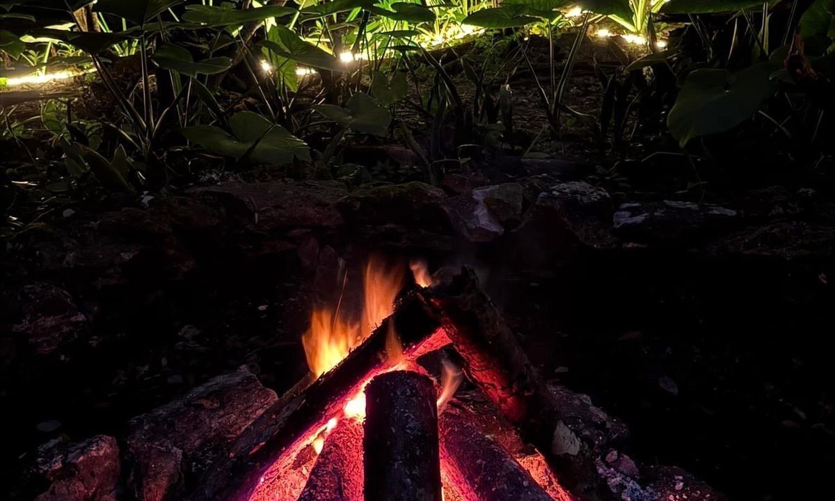Photo of Outdoor in Cozumel