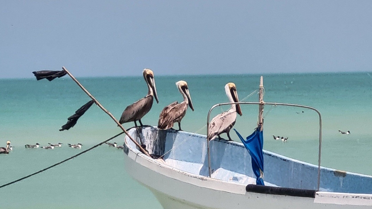 Photo of Others in Salina Grande