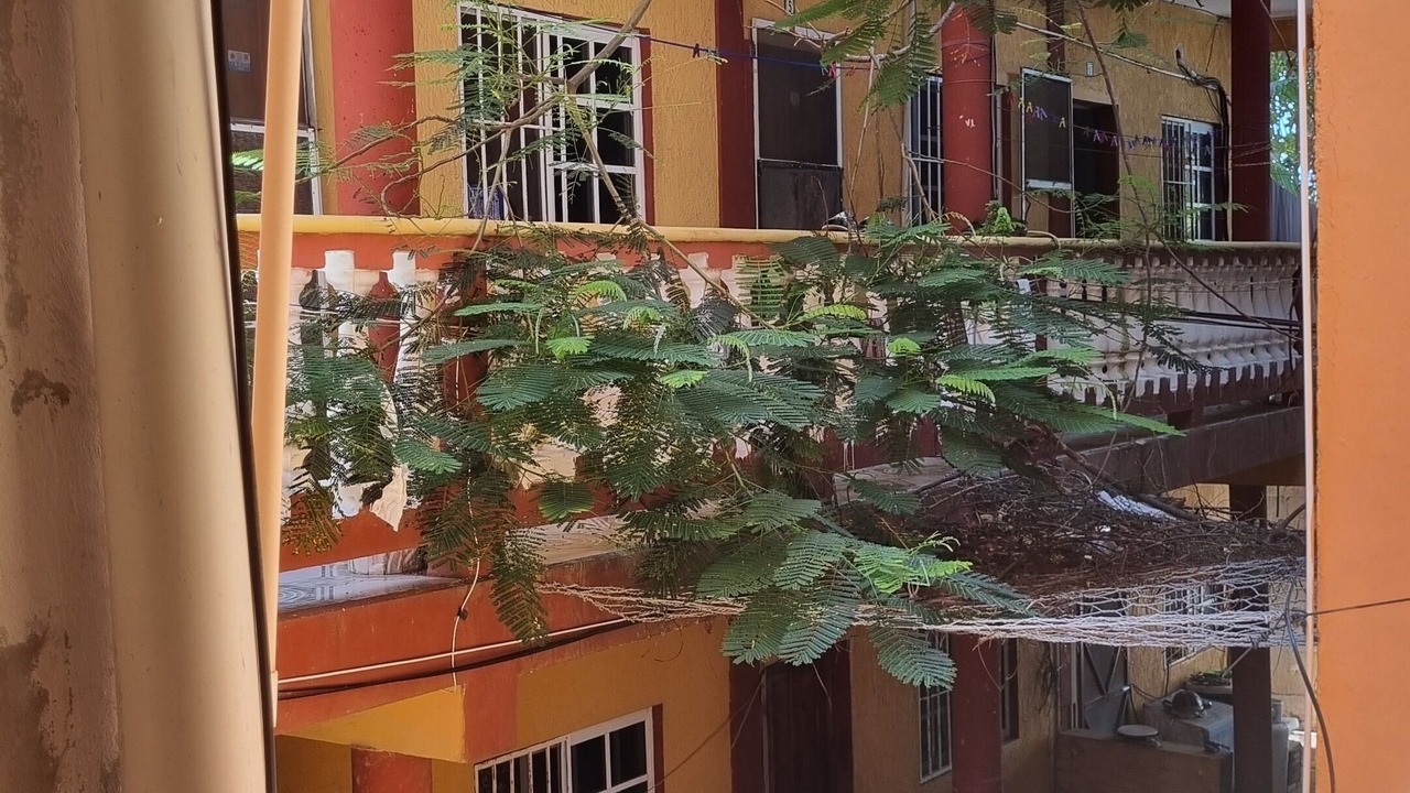 Photo of Outdoor in Salina Grande