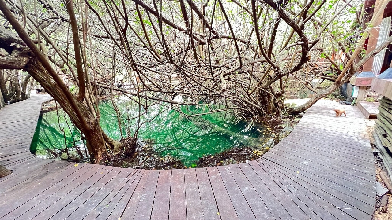 Photo of Outdoor in Zona Hotelera