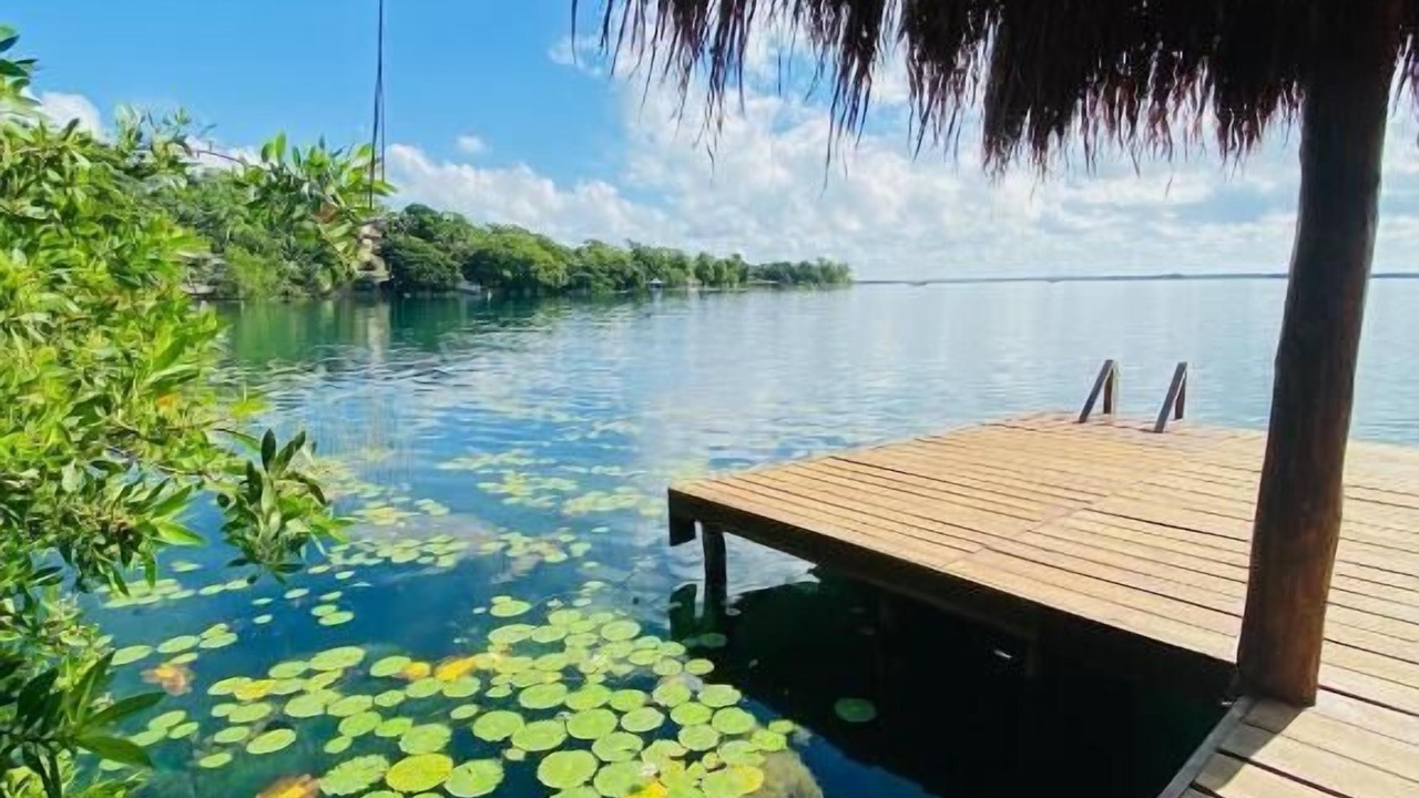 Photo of Others in Chetumal
