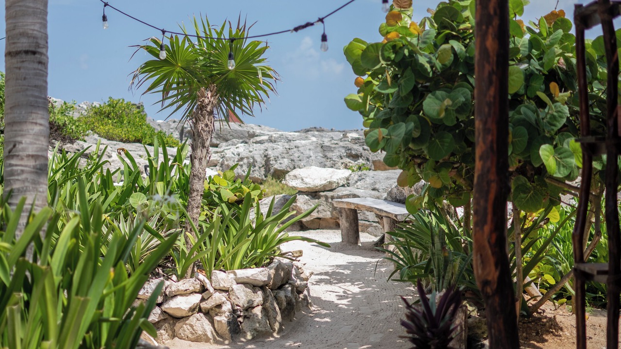 Photo of Outdoor in Zona Hotelera