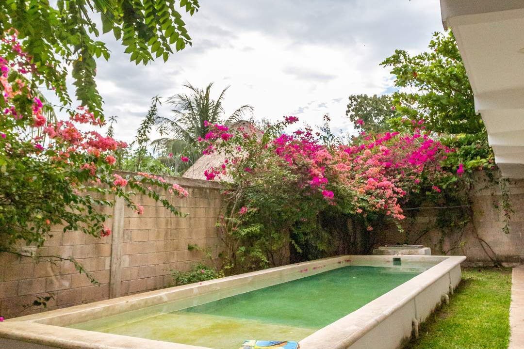 Photo of Outdoor in Bacalar