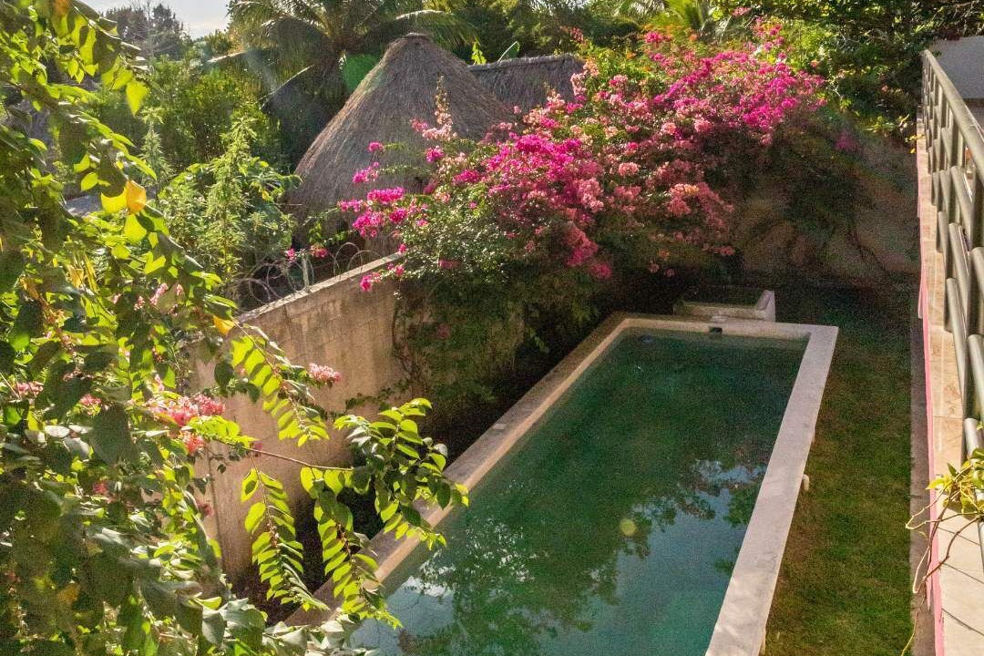Photo of Outdoor in Bacalar