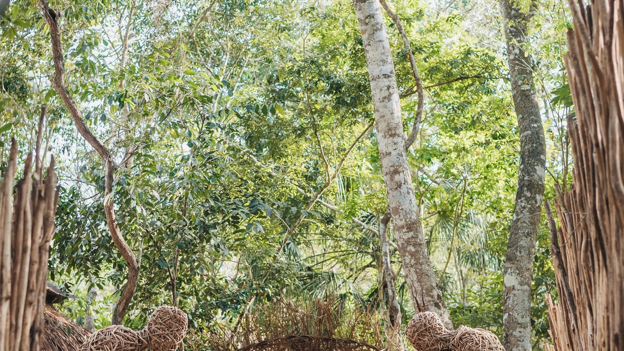 Photo of Outdoor in Othon P. Blanco