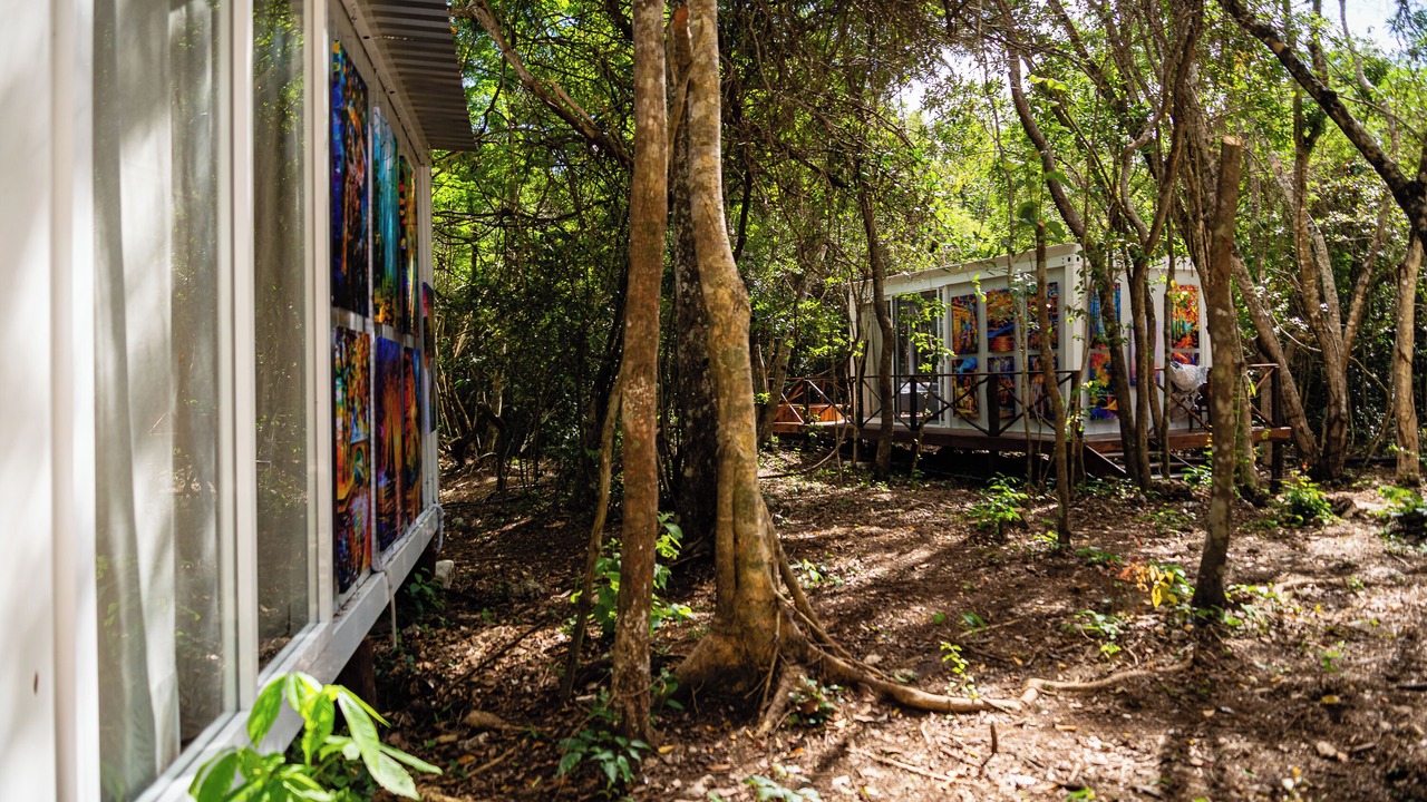 Photo of Outdoor in Akumal