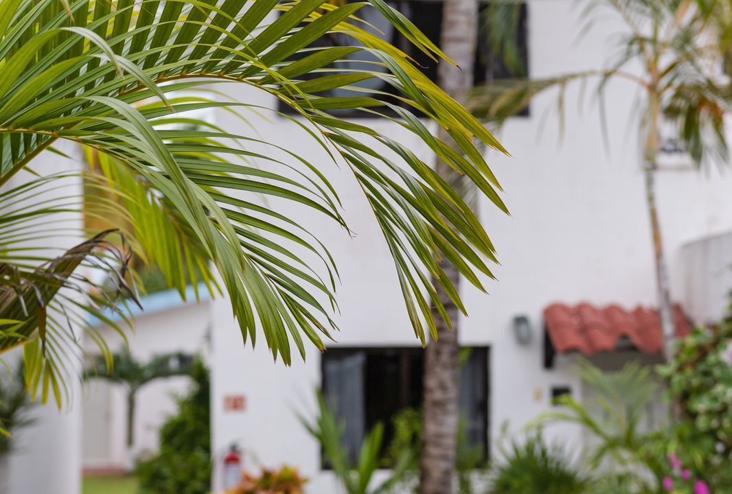 Photo of Others in Puerto Morelos
