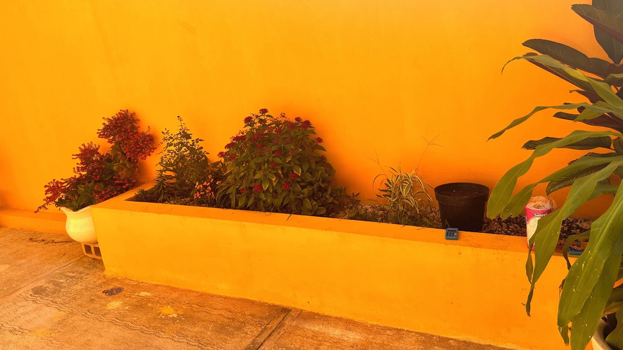 Photo of Outdoor in Coba