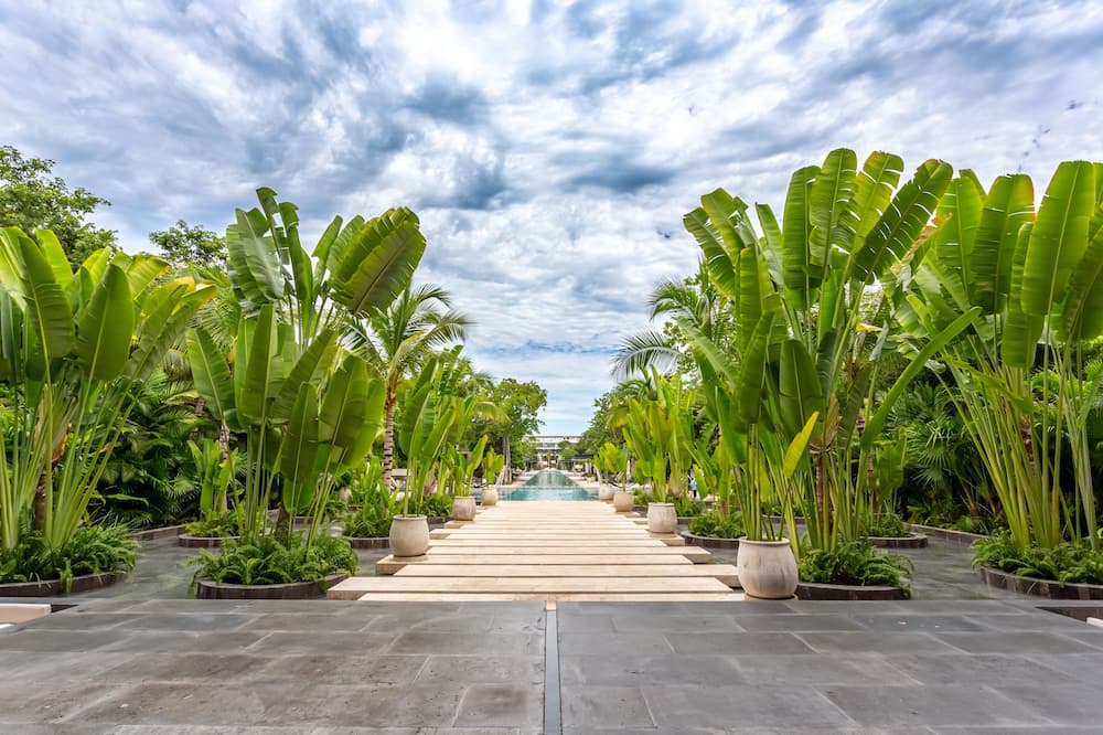 Photo of Outdoor in Playacar Beach