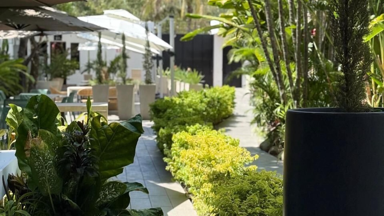 Photo of Outdoor in Flores
