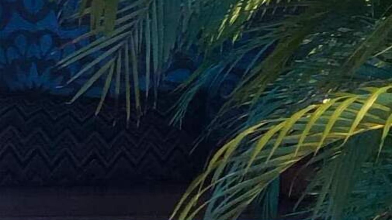 Photo of Outdoor in Colonia Adolfo Lopez Mateos