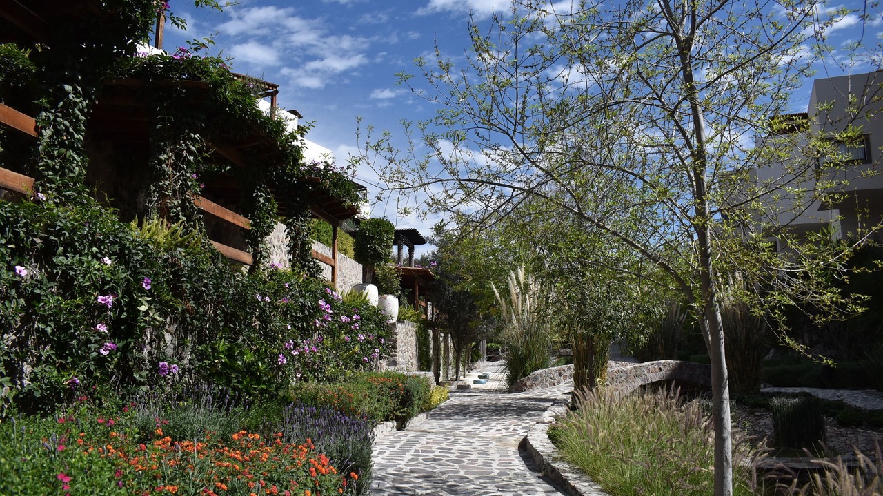 Photo of Outdoor in San Miguel de Allende