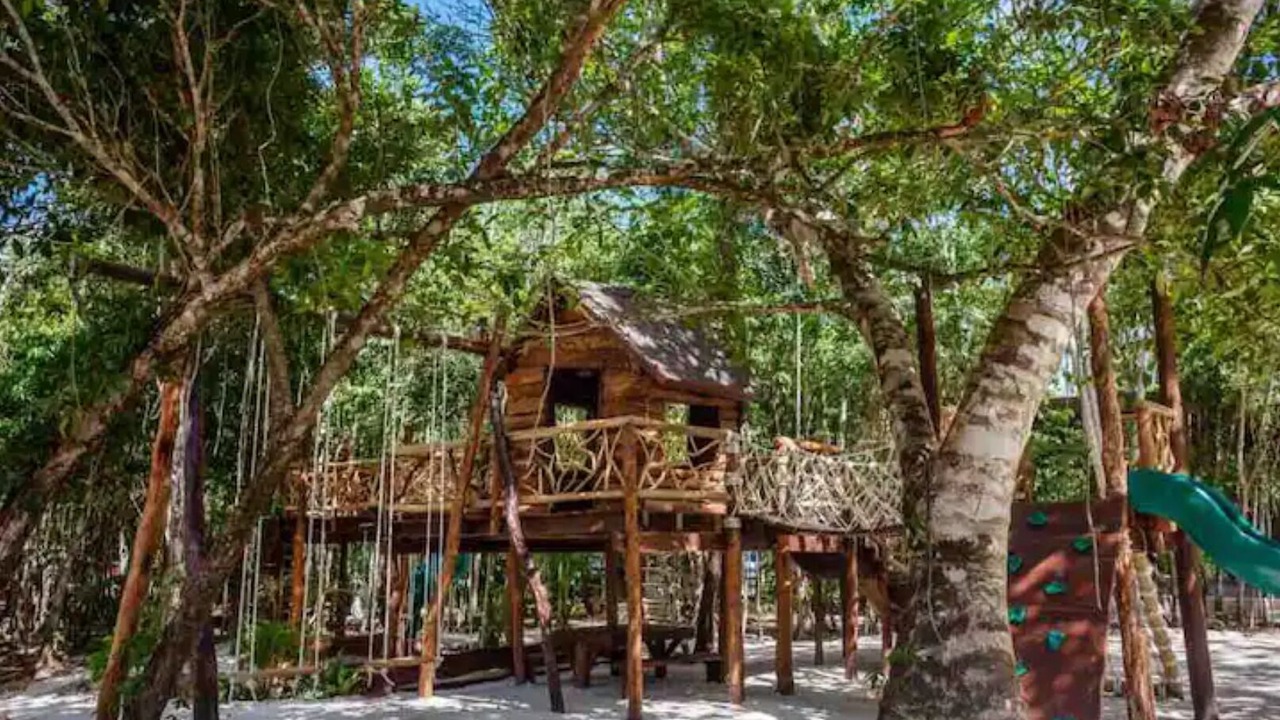 Photo of Others in Puerto Morelos