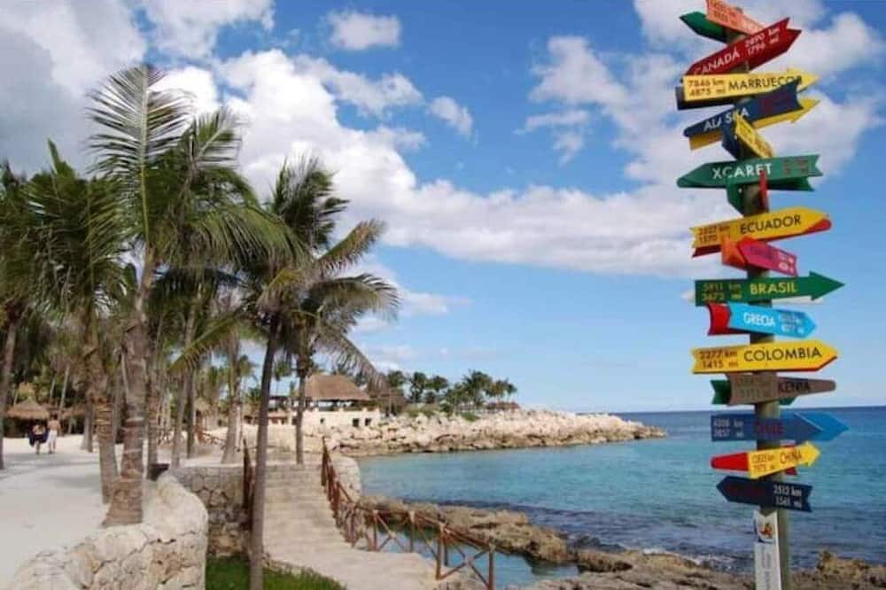 Photo of Others in Cancun