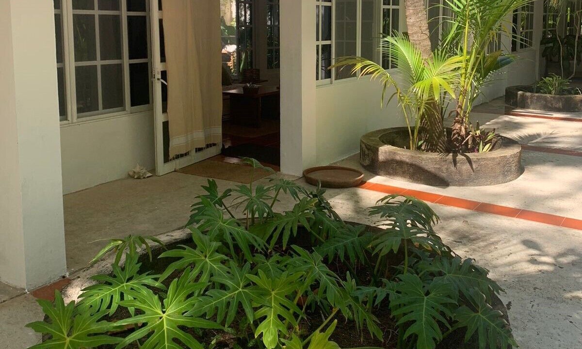 Photo of Outdoor in Chacchoben