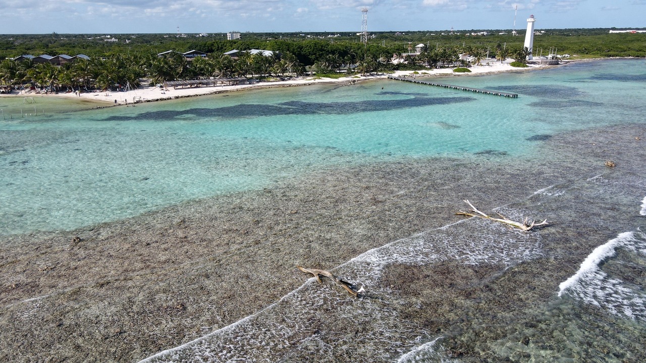 Photo of Others in Mahahual