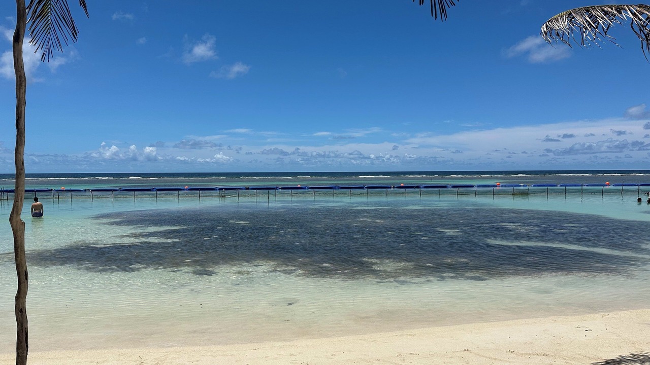 Photo of Others in Mahahual