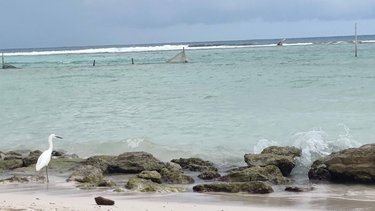 Photo of Others in Majahual