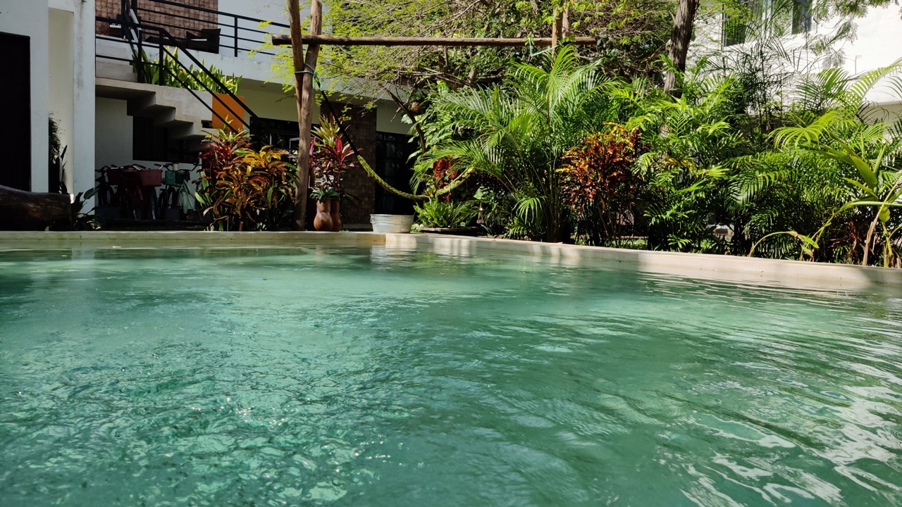 Photo of Outdoor in Majahual