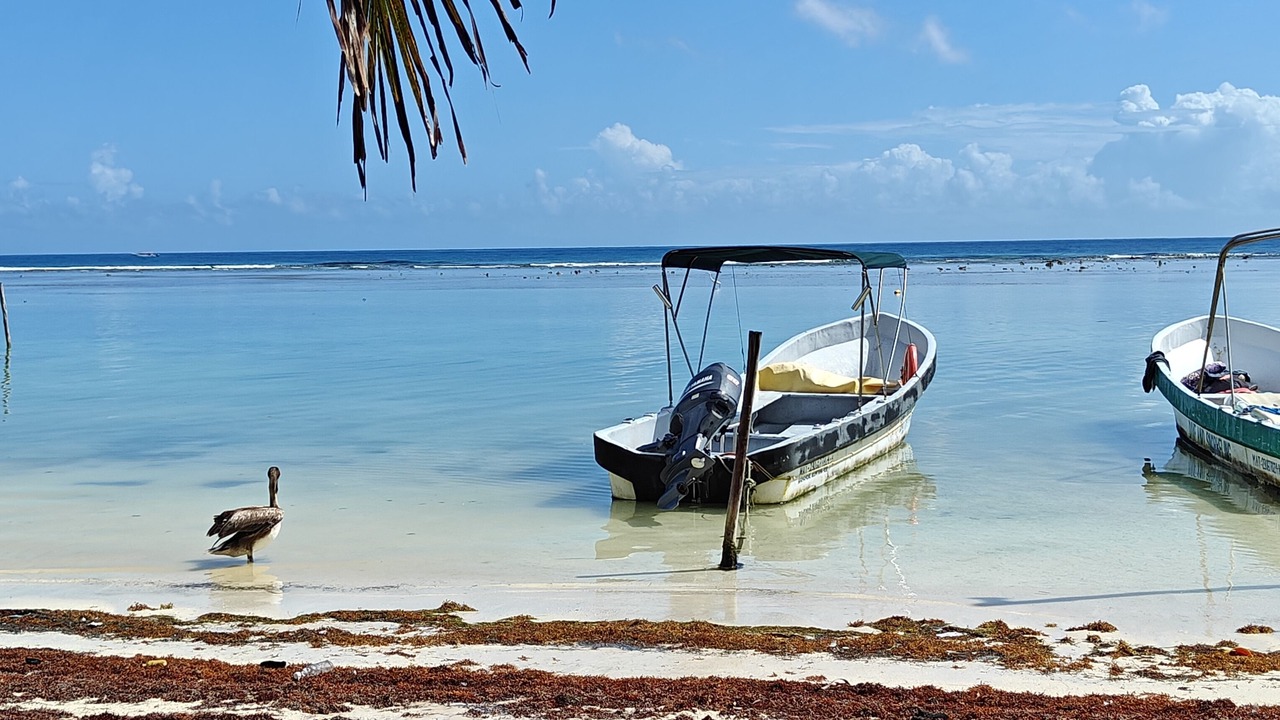 Photo of Others in Majahual