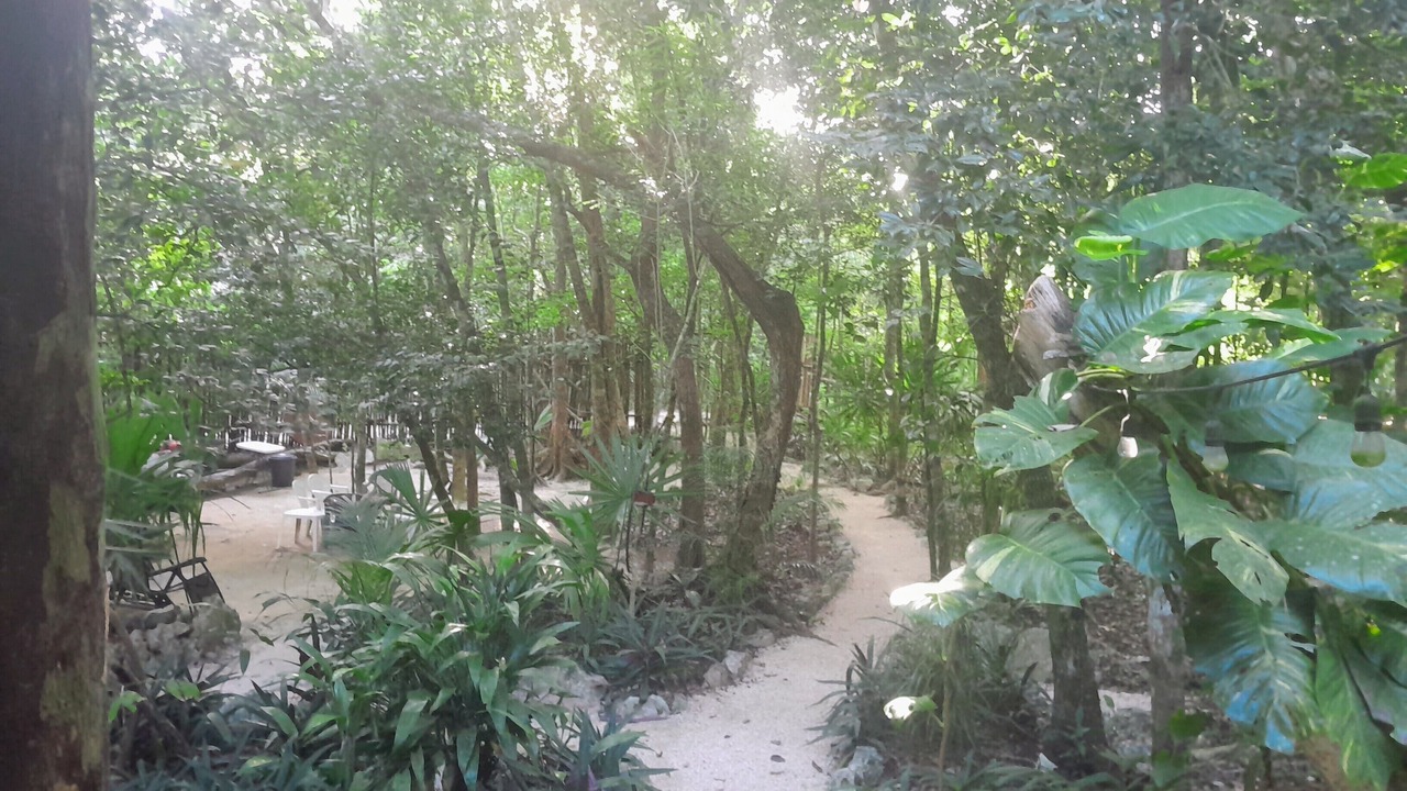 Photo of Outdoor in Macario Gomez