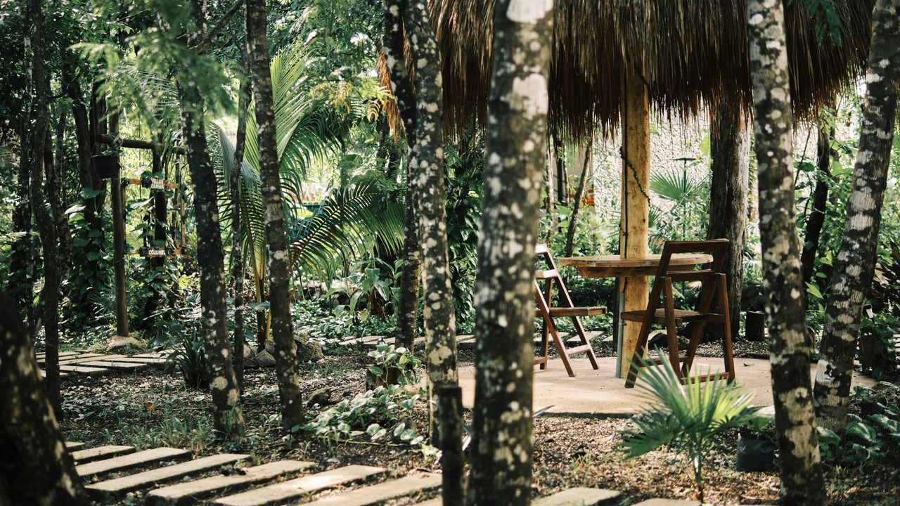 Photo of Patio Balcony in Cozumel
