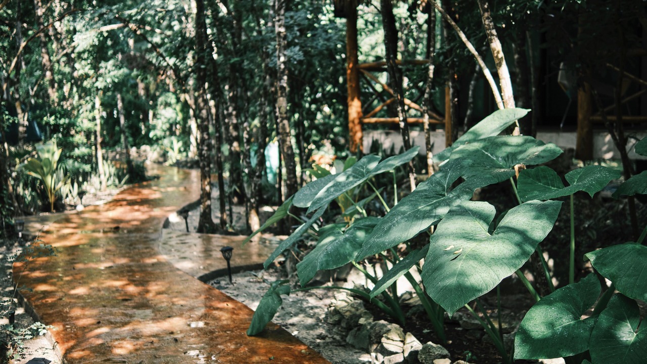 Photo of Others in Cozumel