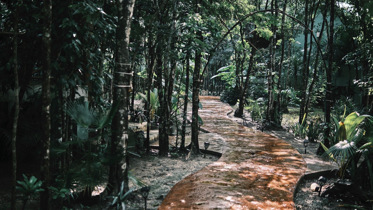 Photo of Outdoor in Cozumel