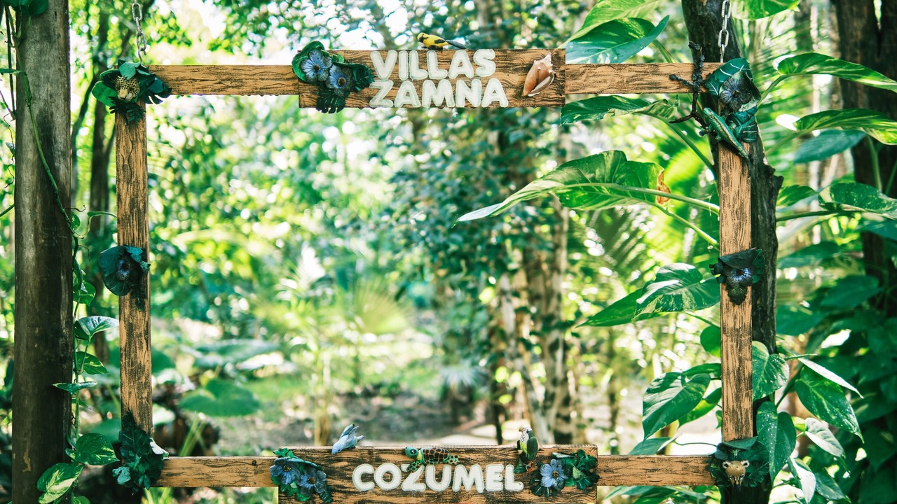 Photo of Outdoor in Cozumel