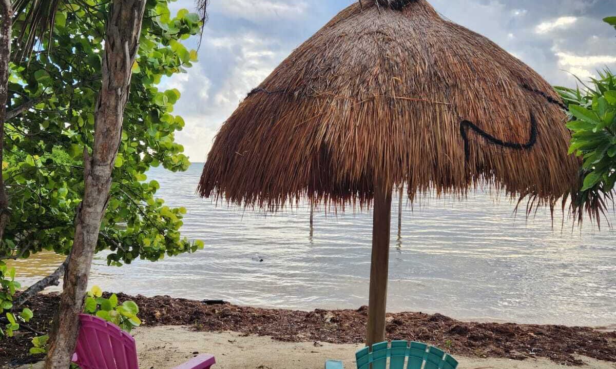 Photo of Outdoor in Xcalak