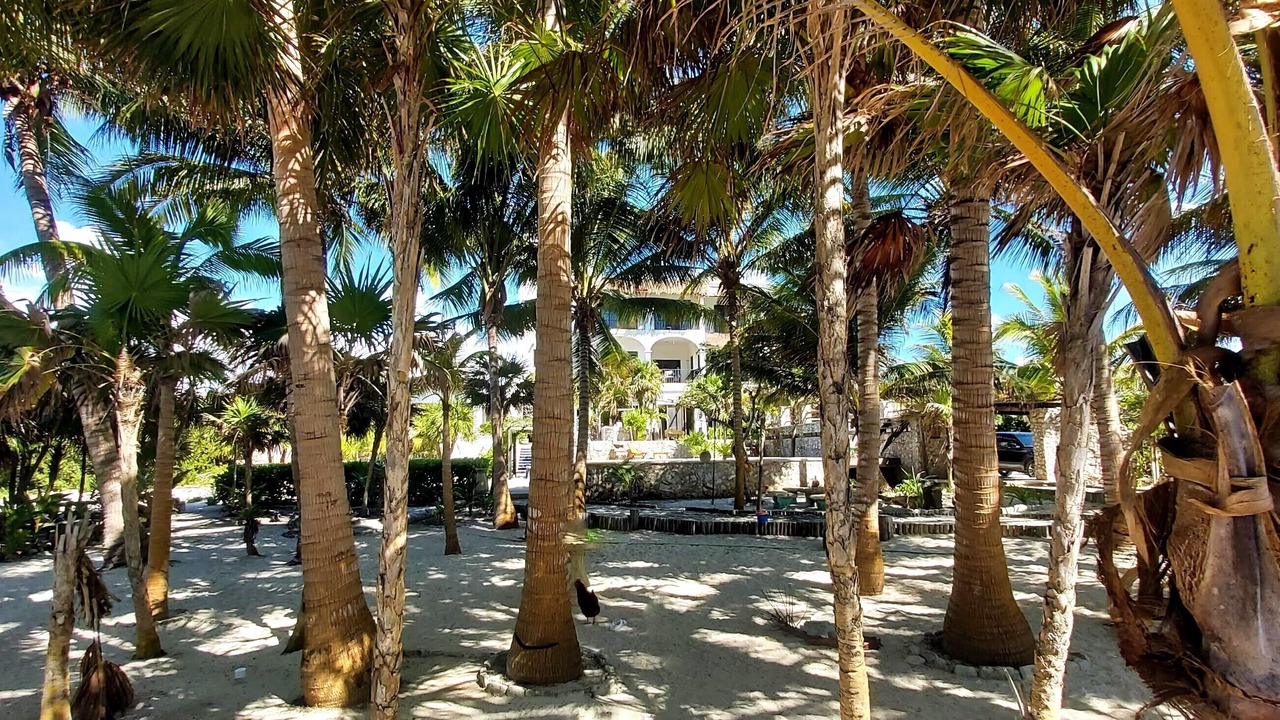Photo of Others in Costa Mujeres
