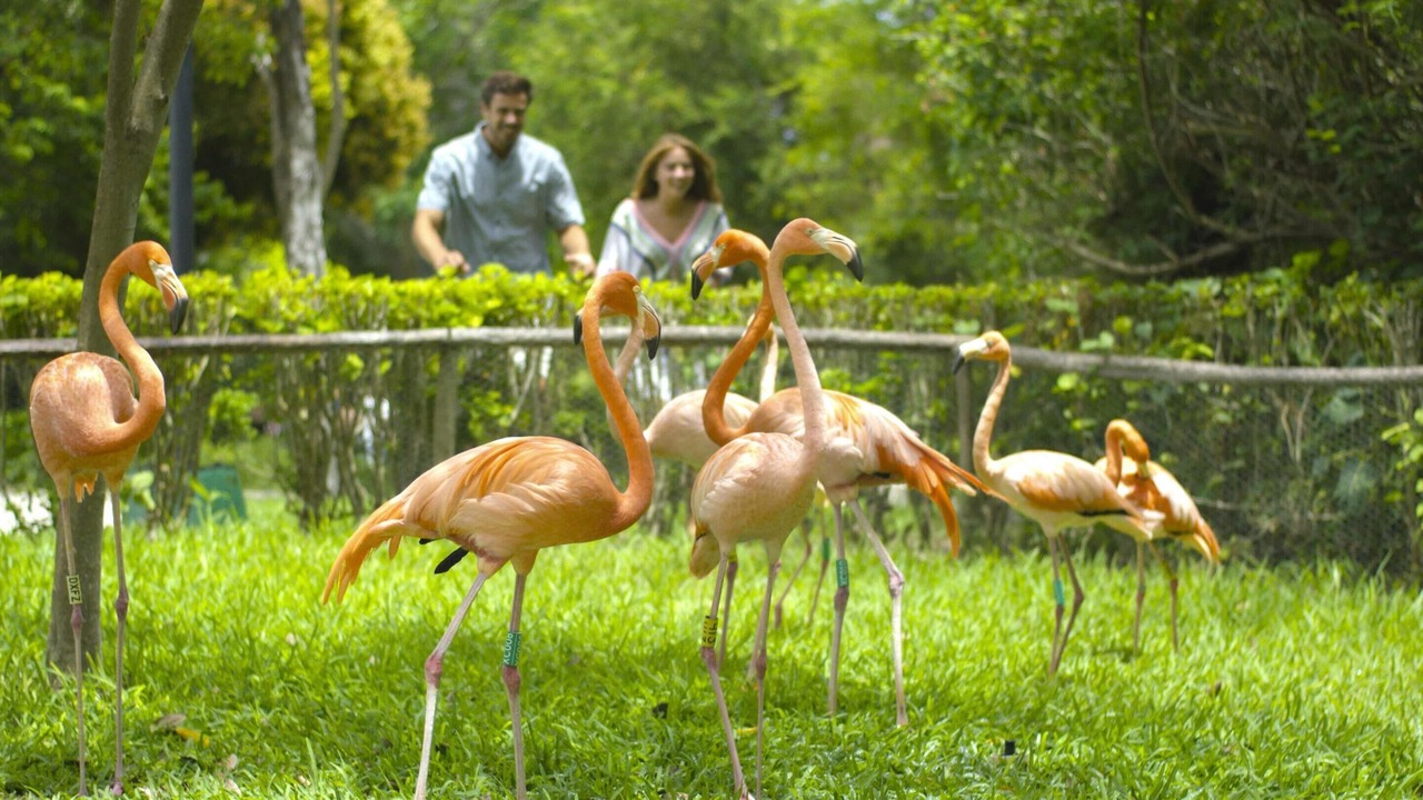 Photo of Others in Xcaret