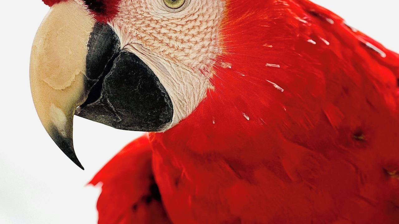 Photo of Others in Puerto Morelos