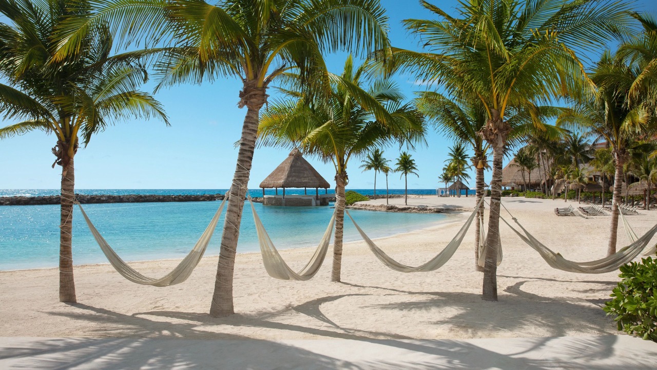 Photo of Others in Puerto Aventuras