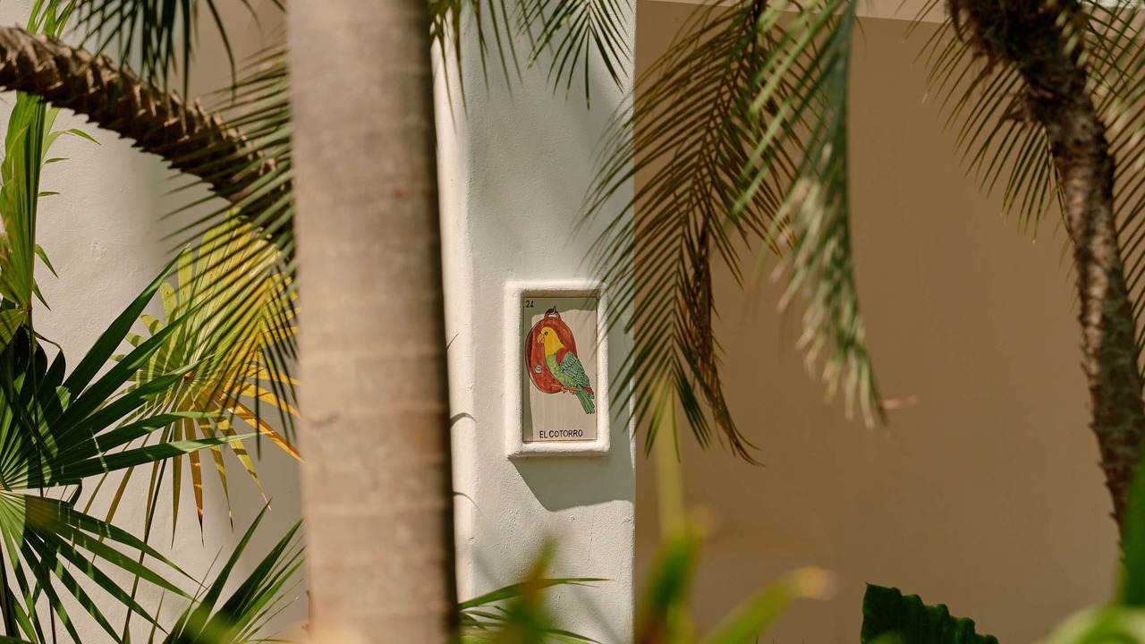 Photo of Outdoor in Maroma