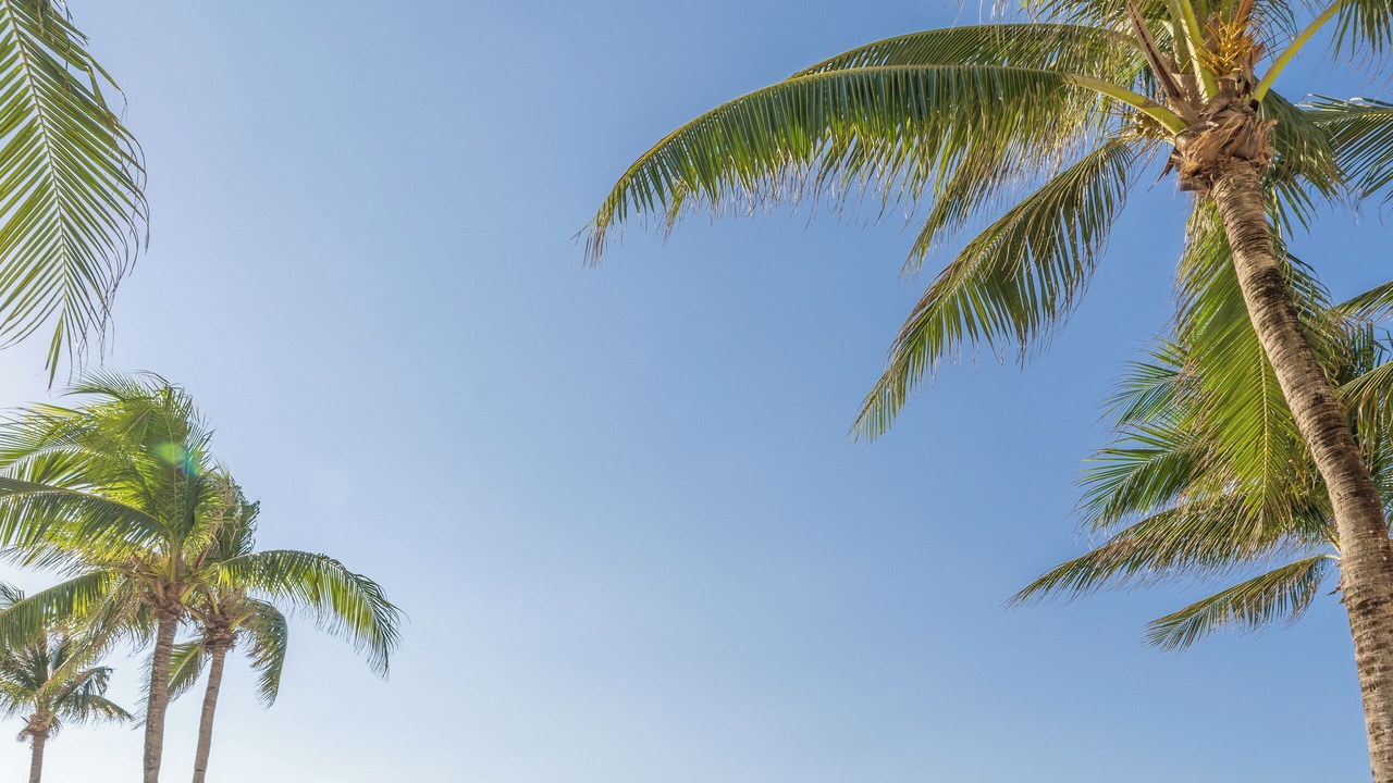 Photo of Outdoor in Colonos Cuzamil