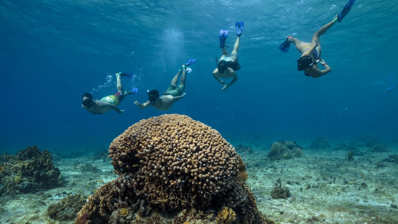 Photo of Others in Cozumel