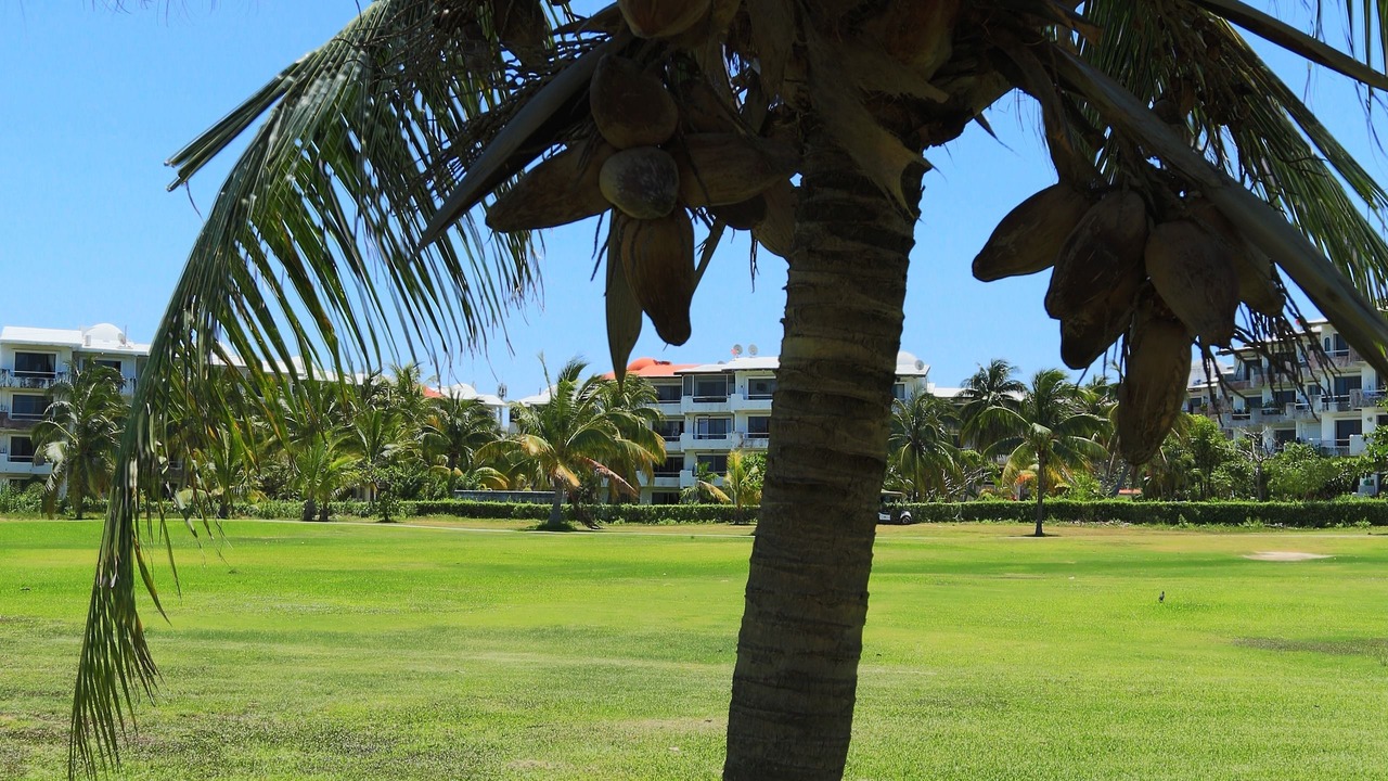 Photo of Outdoor in Zona Hotelera