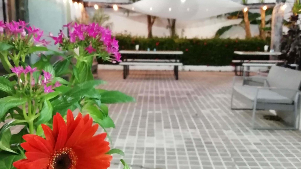 Photo of Outdoor in Zona Hotelera