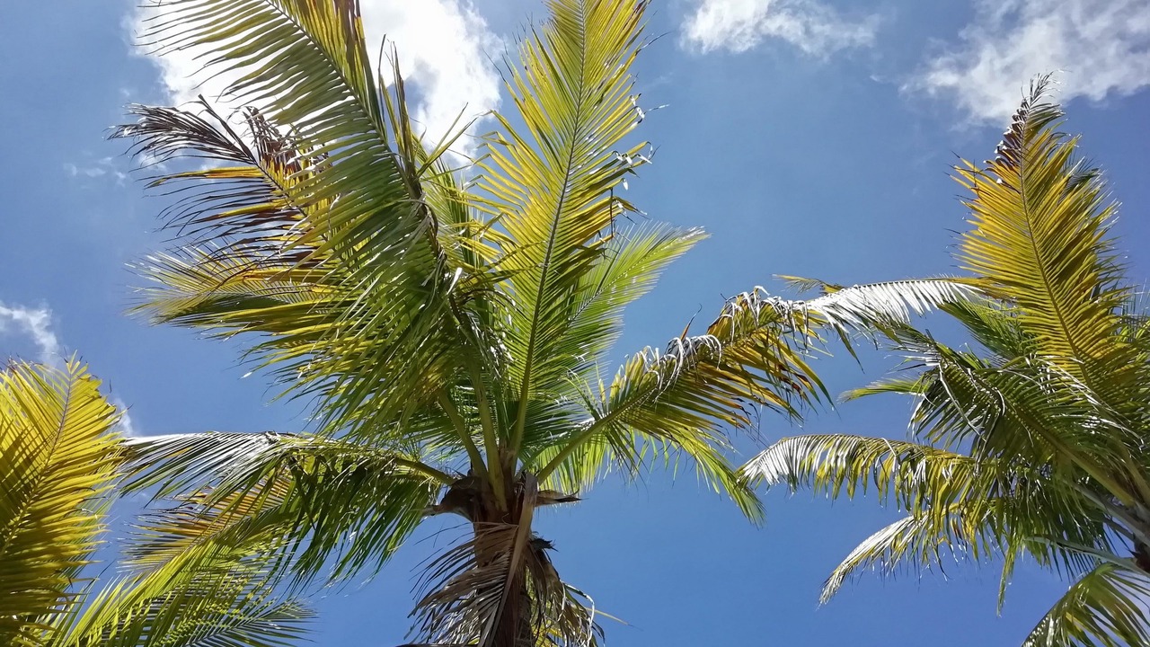 Photo of Outdoor in Zona Hotelera