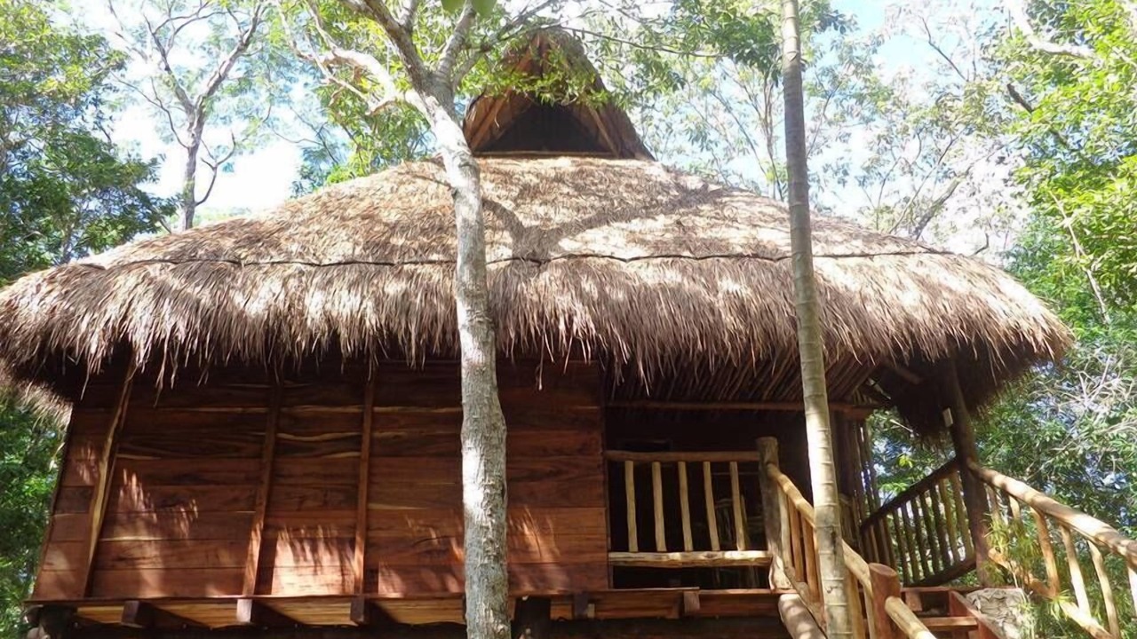 Photo of Outdoor in Macario Gomez
