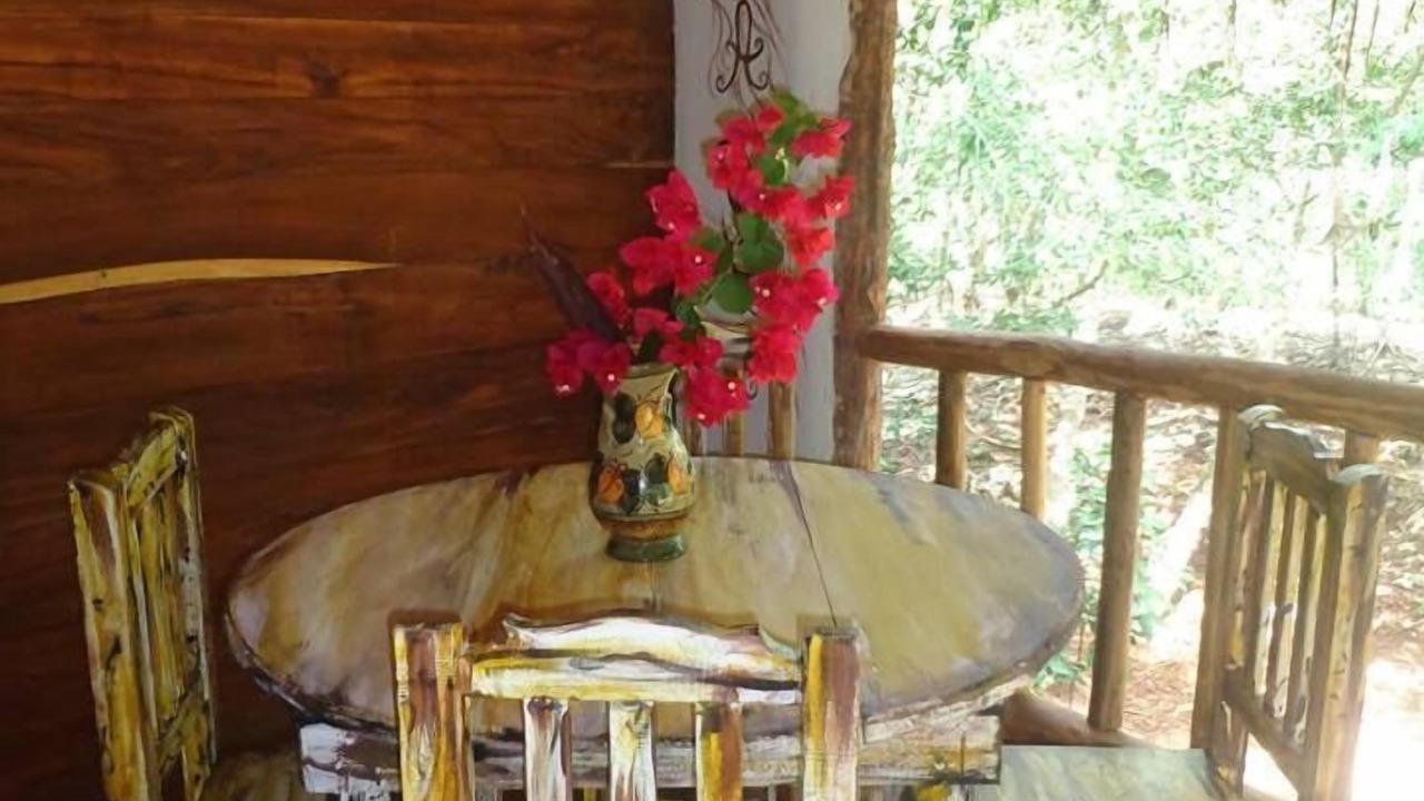 Photo of Patio Balcony in Macario Gomez