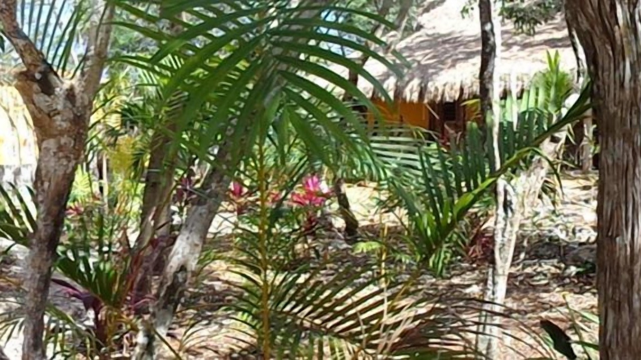 Photo of Outdoor in Macario Gomez