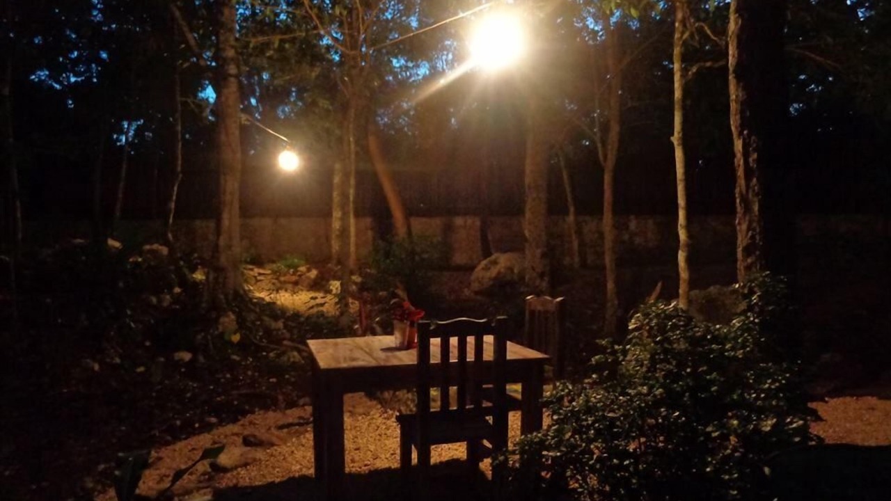 Photo of Outdoor in Macario Gomez