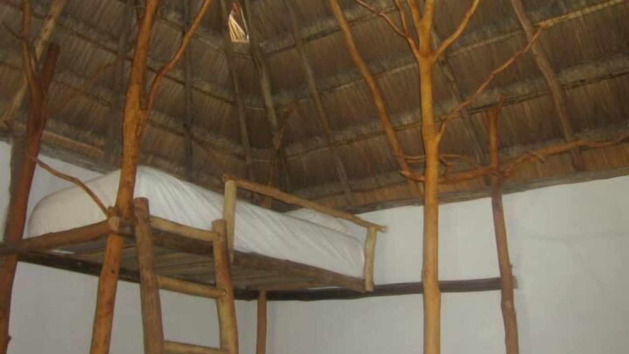 Photo of Patio Balcony in Macario Gomez
